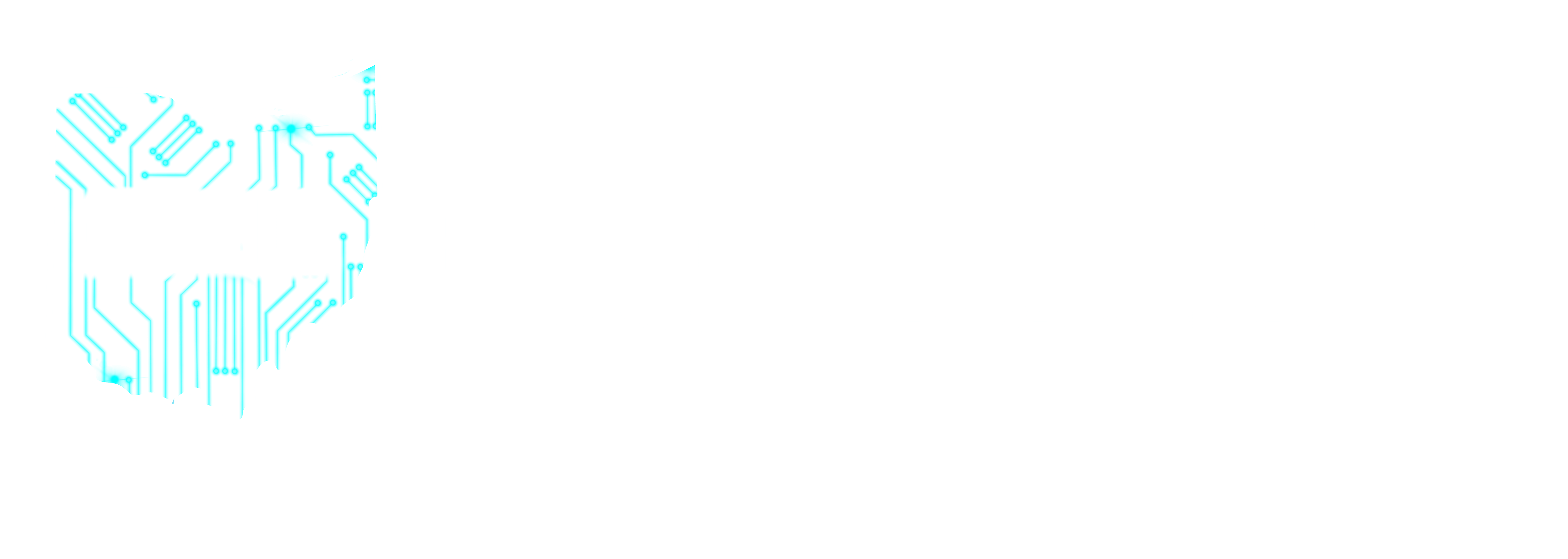330 Hosting & Consulting - WordPress Hosting Ohio